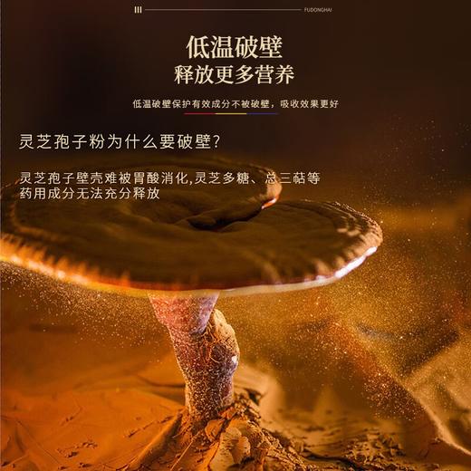 【福东海】破壁灵芝孢子粉1g*100包/盒 中老年滋补保健品增强免疫 商品图3
