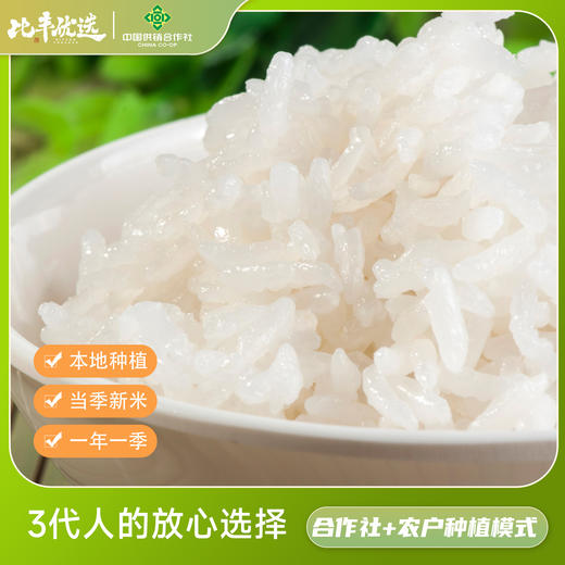 武隆香米10斤真空包装 商品图7