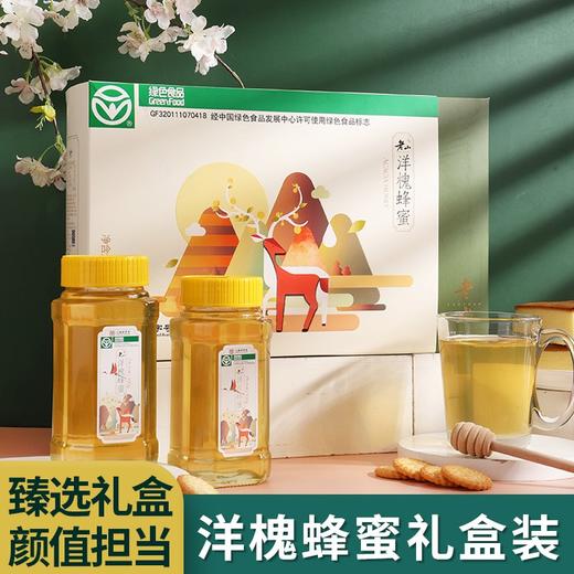 【绿色食品认证】【江苏老字号】老山 绿色洋槐蜂蜜500g*2（甄选礼盒装，两瓶蜂蜜+玻璃杯）洋槐蜂蜜礼盒 颜值担当 槐花清香 营养健康 严选蜜源 品质好蜜 商品图0