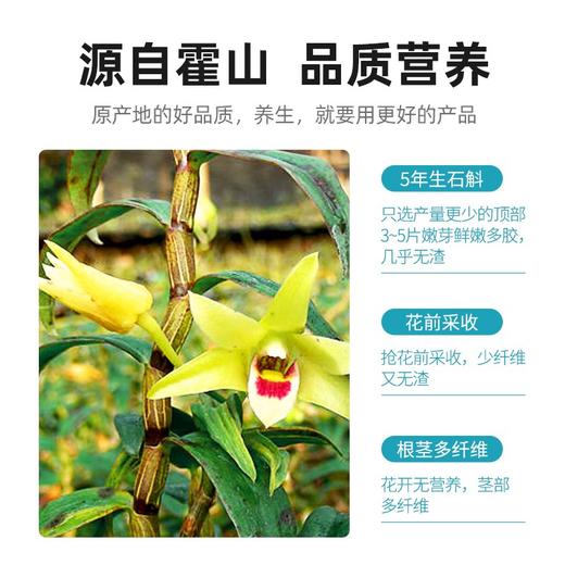 杞里香100g礼盒霍山铁皮石斛 老人礼物送长辈营养品 商品图3