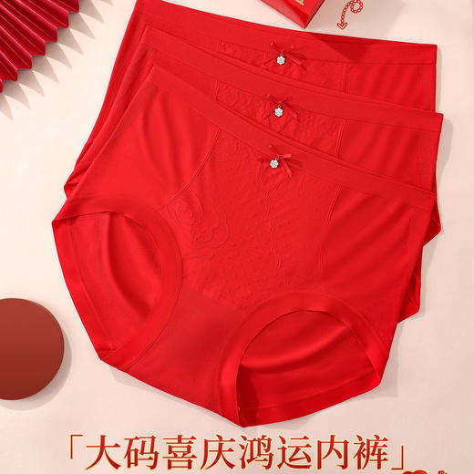 【3条装】女士大码喜庆鸿运内裤新年内裤礼盒【CSL25276】 商品图0