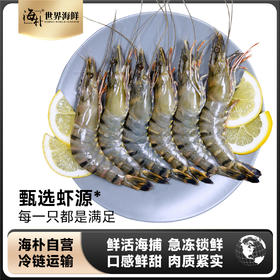 【海朴】进口黑虎虾  活冻海捕黑虎虾1.5KG