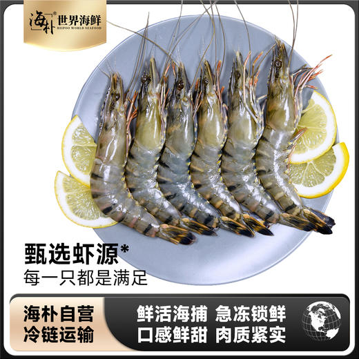 【海朴】进口黑虎虾  活冻海捕黑虎虾1.5KG 商品图0