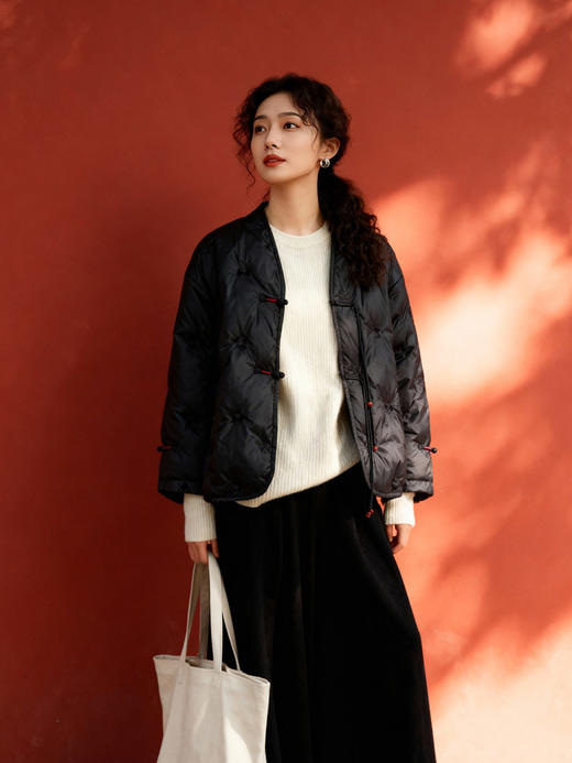 X&F221869V    95白鸭绒 商品图1