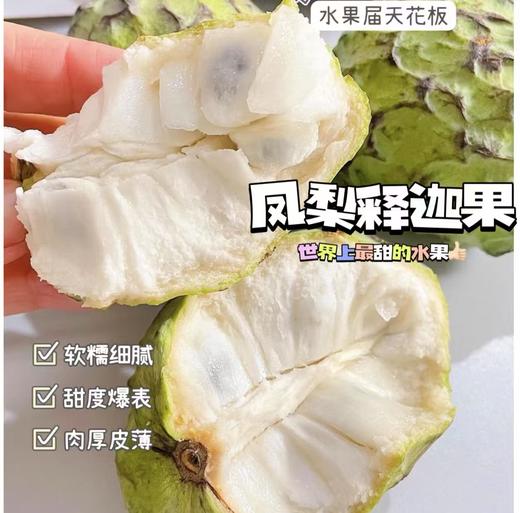 【牛奶凤梨释迦果】这是一款会说情话的水果，温柔又甜蜜 🍥嫩滑细腻的果肉，一口下去如牛奶般丝滑 ✨成熟的释迦果带有一股奶香味，-TTSG 商品图1