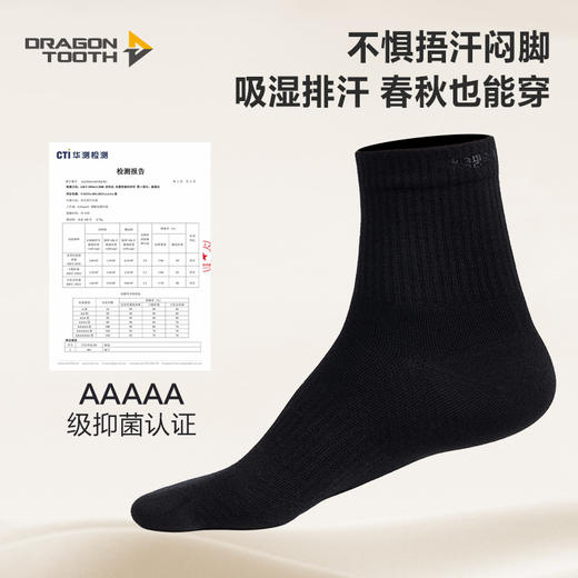 【龙牙上新】龙牙基础款美丽诺羊毛中筒袜 商品图2