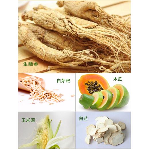 兴合吉供人参茅根木瓜粉【参轻呤】【10g/袋*6袋*6盒】 商品图4