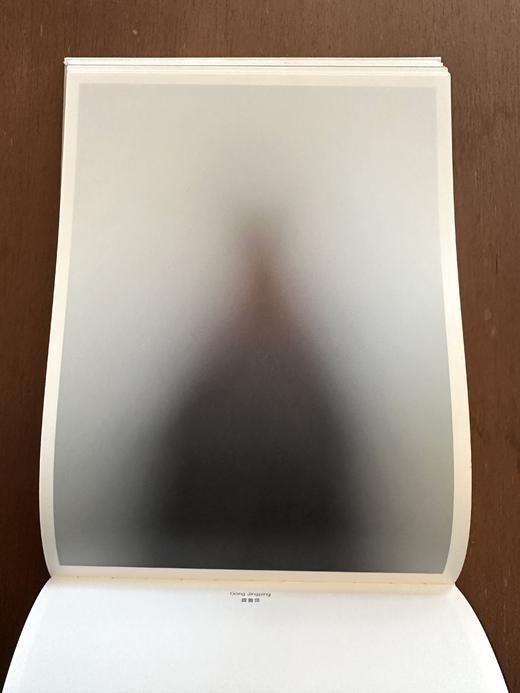 《十八度灰》徐勇最新摄影集 （德国KERBER出版社） 商品图7