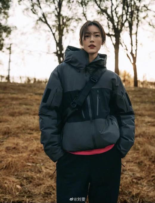 zm16-始祖鸟 跃冬揽石 滑雪羽绒服(MG) 商品图3