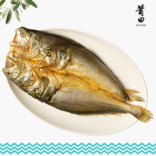 莆田好食材|宁德咸鲜腌制黄花鱼黄鱼鲞 商品图1