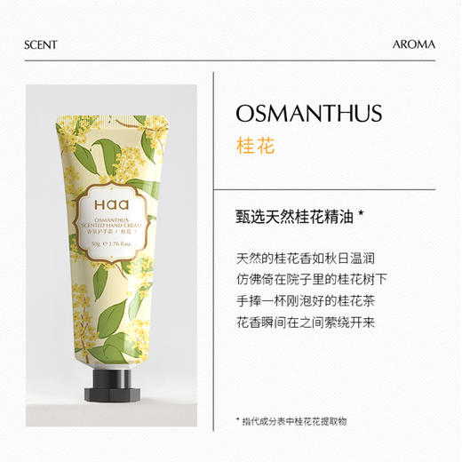 Haa护手霜葡萄茉莉栀子花滋润补水保湿不油腻桂花茉莉苍兰留香 商品图3