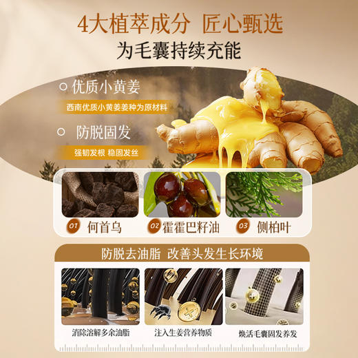 定制【礼盒装49元】防脱固发套组防脱洗发水250ml*2+洗发水125ml+按摩膏25ml 商品图3