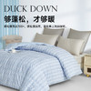 90法国白鸭绒被(海妮娅) 商品缩略图5