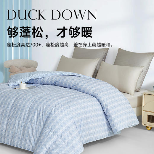 90法国白鸭绒被(海妮娅) 商品图5