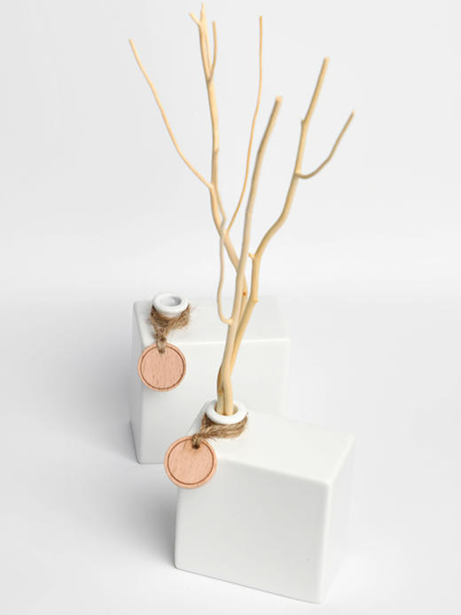 阿迪纳兰 白瓷藤条无火香薰天然植物精油持久留香家居香氛 商品图3