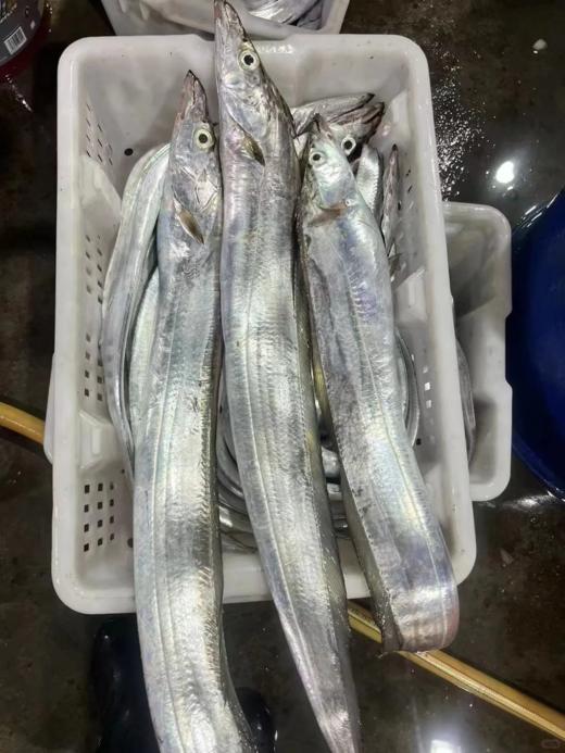 & 海钓青张大带鱼🐟宽厚肥美，肉质特别细嫩，清蒸，干煎，红烧都好吃😋 商品图4