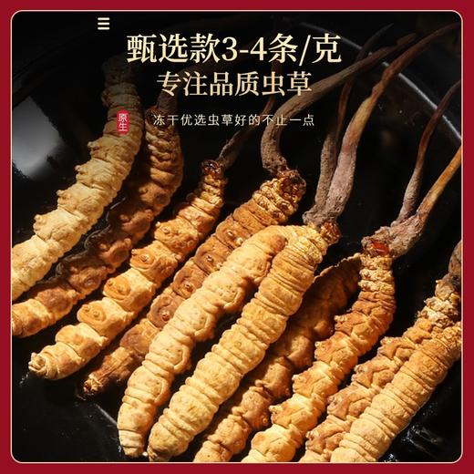 福东海 冬虫夏草10克特级品质整条( 3-4条/g） 商品图3