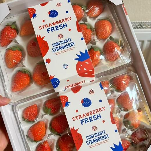 【顺丰快递】半坡阳光·糖果草莓 精选9成熟 熟一颗挑采一颗 一般地方吃不到的香甜味道 ABPYG 商品图5