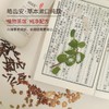 【混知推荐】皓齿安丨植物洁牙粉/漱口纯露洁牙护齿清新口气全面养护口腔健康 商品缩略图11
