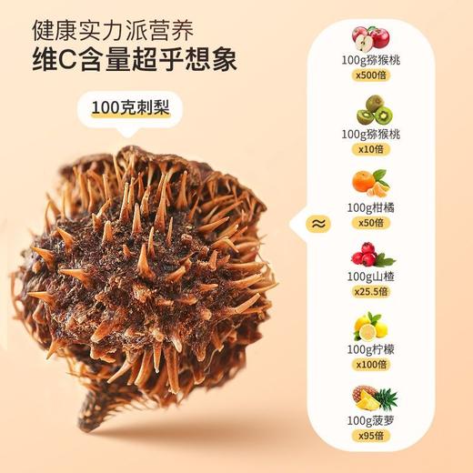 【福东海】刺梨150克/瓶 商品图1