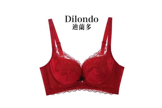 迪兰多车缝无钢圈中厚杯蚕丝养胸护胸聚拢有型2118473 商品图12