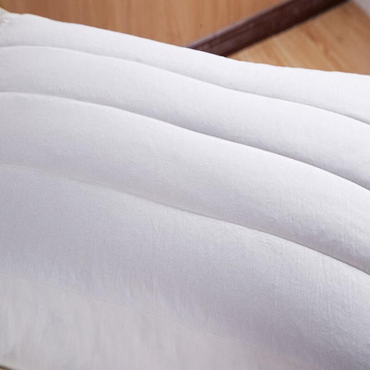 恒源祥 1JJ1212 羽毛荞麦枕 48*74cm 单位：床 商品图4