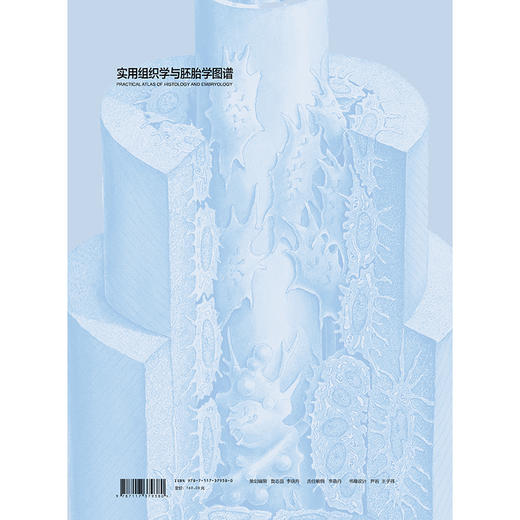 实用组织学与胚胎学图谱 徐国成 翟效月 主编 中英文对照结合彩图准确标注 既体现了学术严谨性又直观易懂 基础医学人民卫生出版社 商品图2
