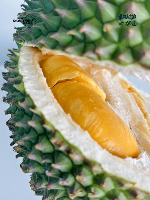 【马来西亚空运鲜果-黑刺榴莲鲜果】来啦！榴莲王中王！浓郁醇香，入口即化！树上熟，自然掉落更香甜~ 商品图1