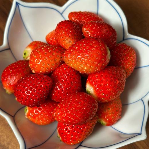 【顺丰快递】半坡阳光·糖果草莓 精选9成熟 熟一颗挑采一颗 一般地方吃不到的香甜味道 ABPYG 商品图0