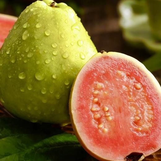 疯抢中！！现摘现发【中国台湾改良版·红心奶油芭乐】营养丰富 果肉软糯 柔嫩多汁 精美包装/礼盒装 商品图0