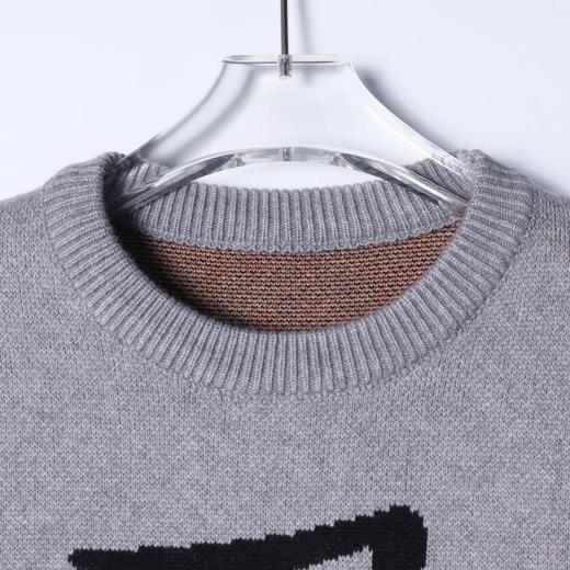 82548SDSA男士秋冬新款痞帅男装撞色提花卡通小狗圆领毛衣百搭时尚上衣 商品图2