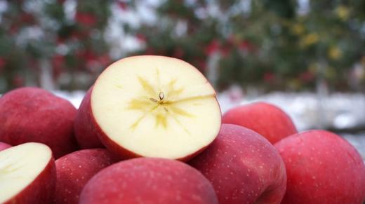 有机烟富苹果 脆甜多汁 口感丰富 有机认证 零农残更安心 商品图8