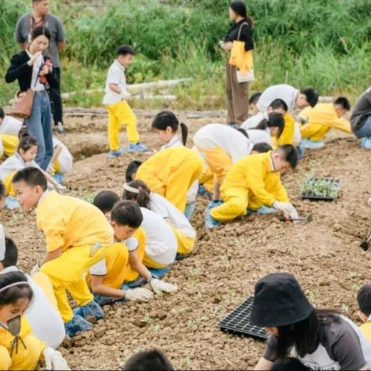 定制·南沙自然探索1日营 | 走进现代农业园，劳动实践，创意工坊，萌宠及植物乐园畅玩！ 商品图1