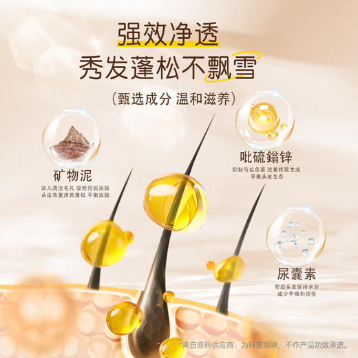 冰芙妮洗发水400ml深层清洁控油去屑蓬松柔顺发质 商品图5