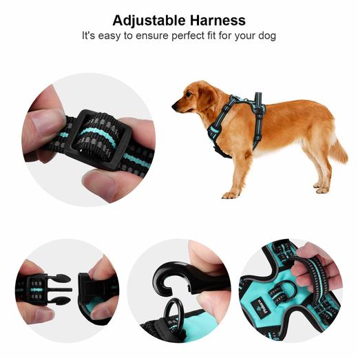 PHILORN宠物牵引绳 狗狗防爆冲可调节背心  带反光标识 商品图2