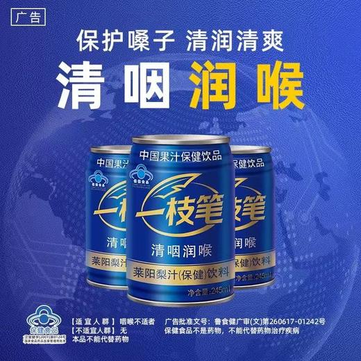 自营（一枝笔）-保健莱阳梨汁清润咽喉功能性饮料果汁 商品图1