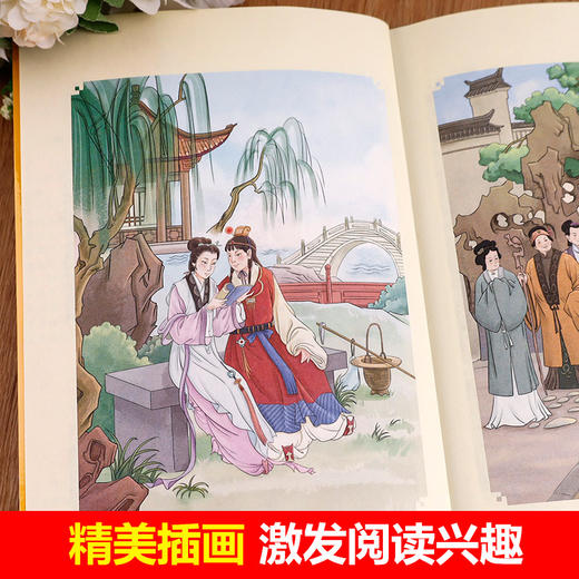 百万畅销版红楼梦:导读版 商品图1