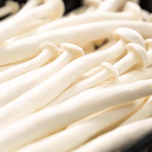 有机海鲜菇200g新鲜蔬菜鲜货菌菇蘑菇炒菜火锅煲汤满额包邮 商品图5