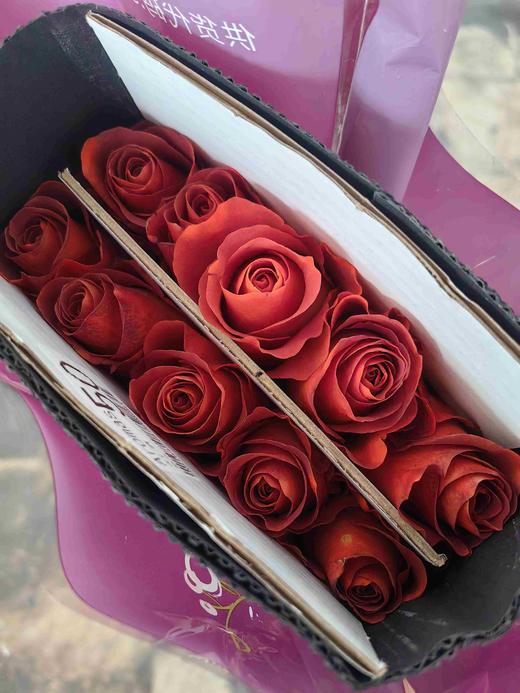 国产单头杏仁酒玫瑰10支 商品图7