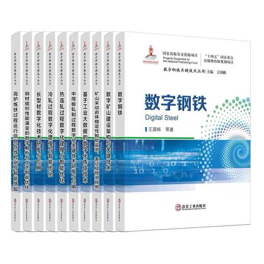 数字钢铁关键技术丛书 商品图0