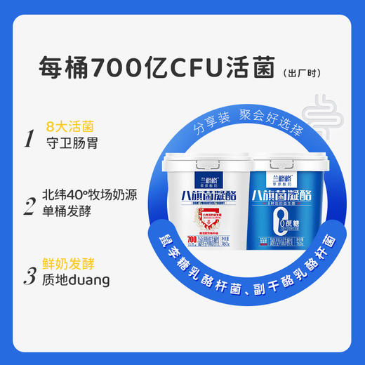 兰格格内蒙古草原酸奶八旗菌凝酪760g*1桶+凝酪0蔗糖760g*1桶 商品图3