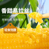 灶小美【内蒙古产地】黄糯八厘米玉米段12袋≥4斤粗粮 源头直发包邮 /粮油调味 /杂粮 /谷米类 商品缩略图4