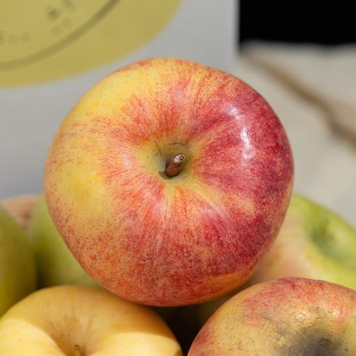 苹果三拼丨水蜜桃苹果+金果+艾妃，一次吃三种口感，三种不同感受，口感酸甜多汁，有香气，家庭装，大小不一，量不多，抓紧入手！ 商品图2