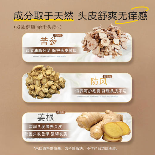 冰芙妮洗发水50g 旅行装控油去屑 商品图4