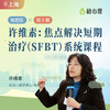 【许维素·第八期】焦点解决短期治疗（SFBT)系统课程 商品缩略图0