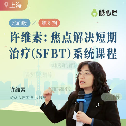 【许维素·第八期】焦点解决短期治疗（SFBT)系统课程 商品图0