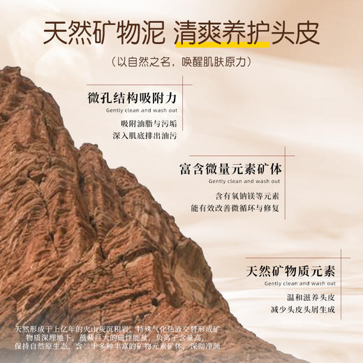 冰芙妮洗发水400ml深层清洁控油去屑蓬松柔顺发质 商品图9