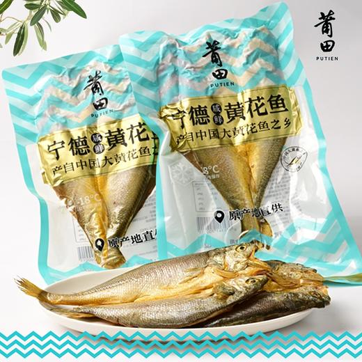 莆田好食材|宁德咸鲜腌制黄花鱼黄鱼鲞 商品图0