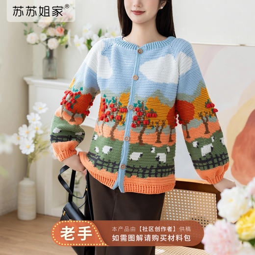 苏苏姐家苹果园开衫手工diy钩针编织衣服4股棉毛线团自制材料包 商品图0