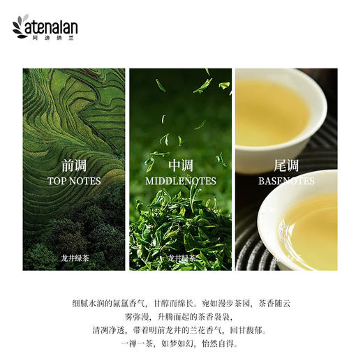 阿迪纳兰 栖系列晶石香氛舒缓情绪天然香薰-龙井萃 商品图3